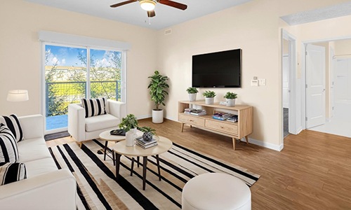 living room with couch and area rug