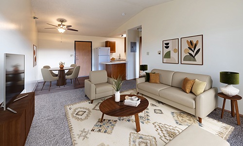 living room with couch and area rug